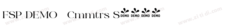 FSP DEMO   Cmmtrs S字体转换